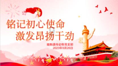 金庸群侠传